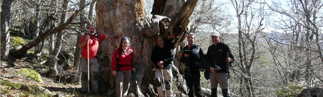 Barruelo - El Cerezo - La Bodegona