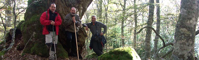 Ruta de la fuentes de Ujapero