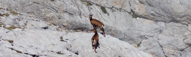 Aproximaci贸n a Pe帽a Santa