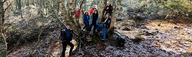Corral de Villabellaco