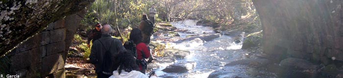 INTEGRAL DEL VALDECEBOLLAS