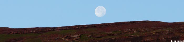 INTEGRAL DEL VALDECEBOLLAS