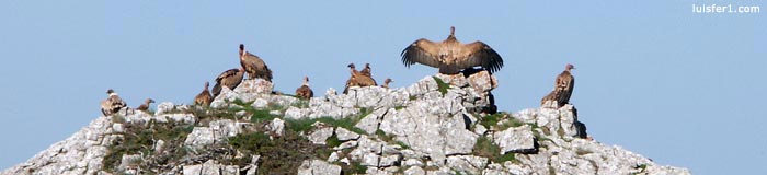 INTEGRAL DEL VALDECEBOLLAS