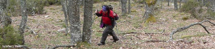 INTEGRAL DEL VALDECEBOLLAS