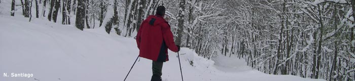 INTEGRAL DEL VALDECEBOLLAS