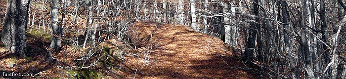 INTEGRAL DEL VALDECEBOLLAS