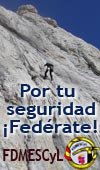 Fed�rate