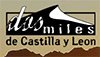 Dosmiles de Castilla y Le�n